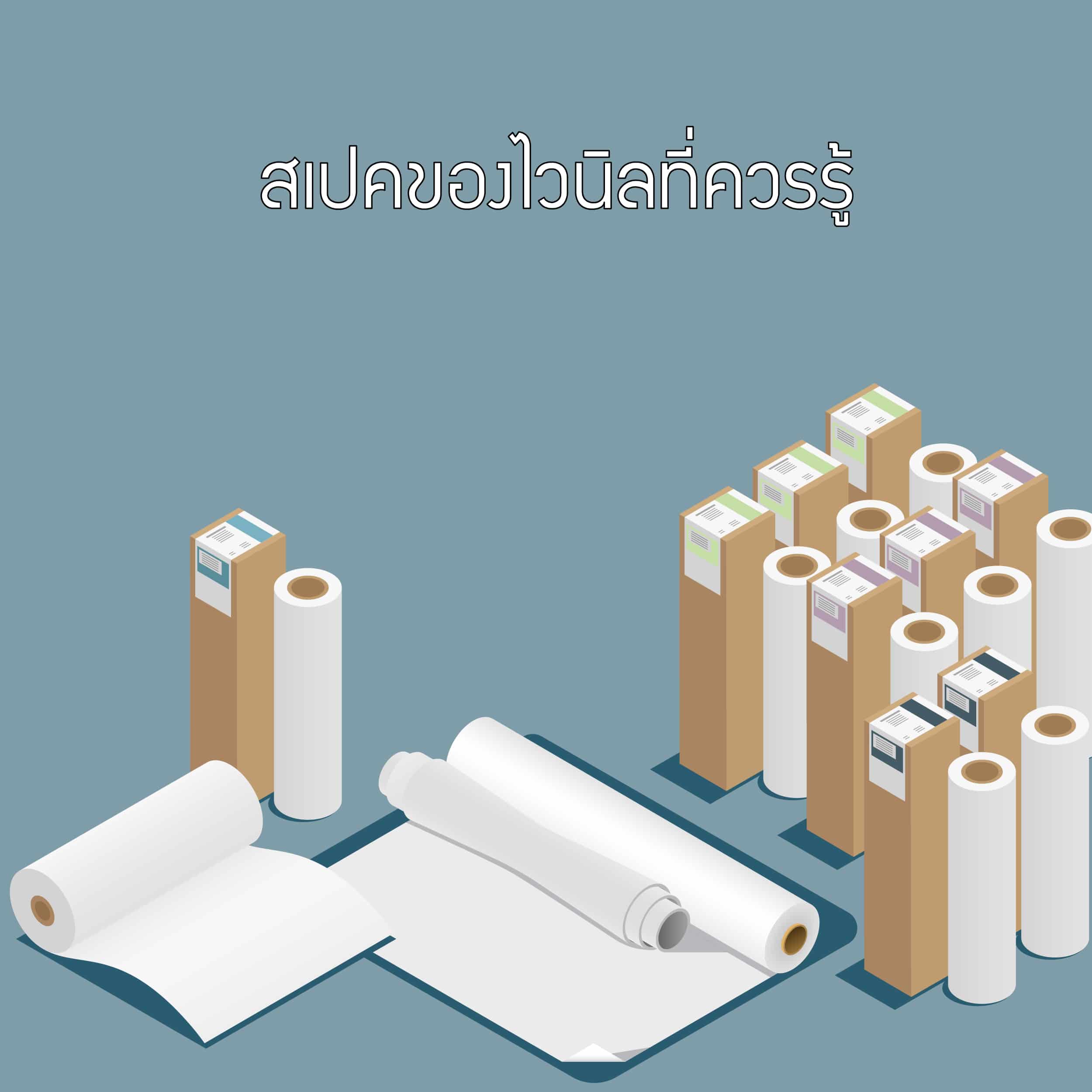 สเปคของไวนิลที่ควรรู้